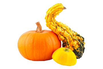 pumpkins