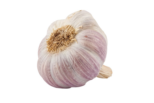 Purple Garlic, Isolated On White Background