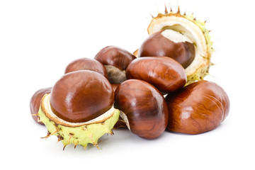 chestnuts