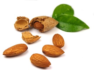 almond on white