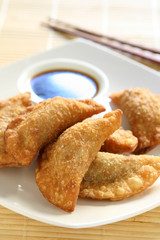Fried Pot Stickers (Gyoza)