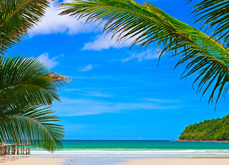 Palms frame on the beach background