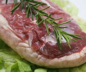 Entenbrust