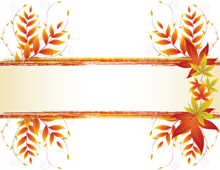 Autumn background with yellow leaves