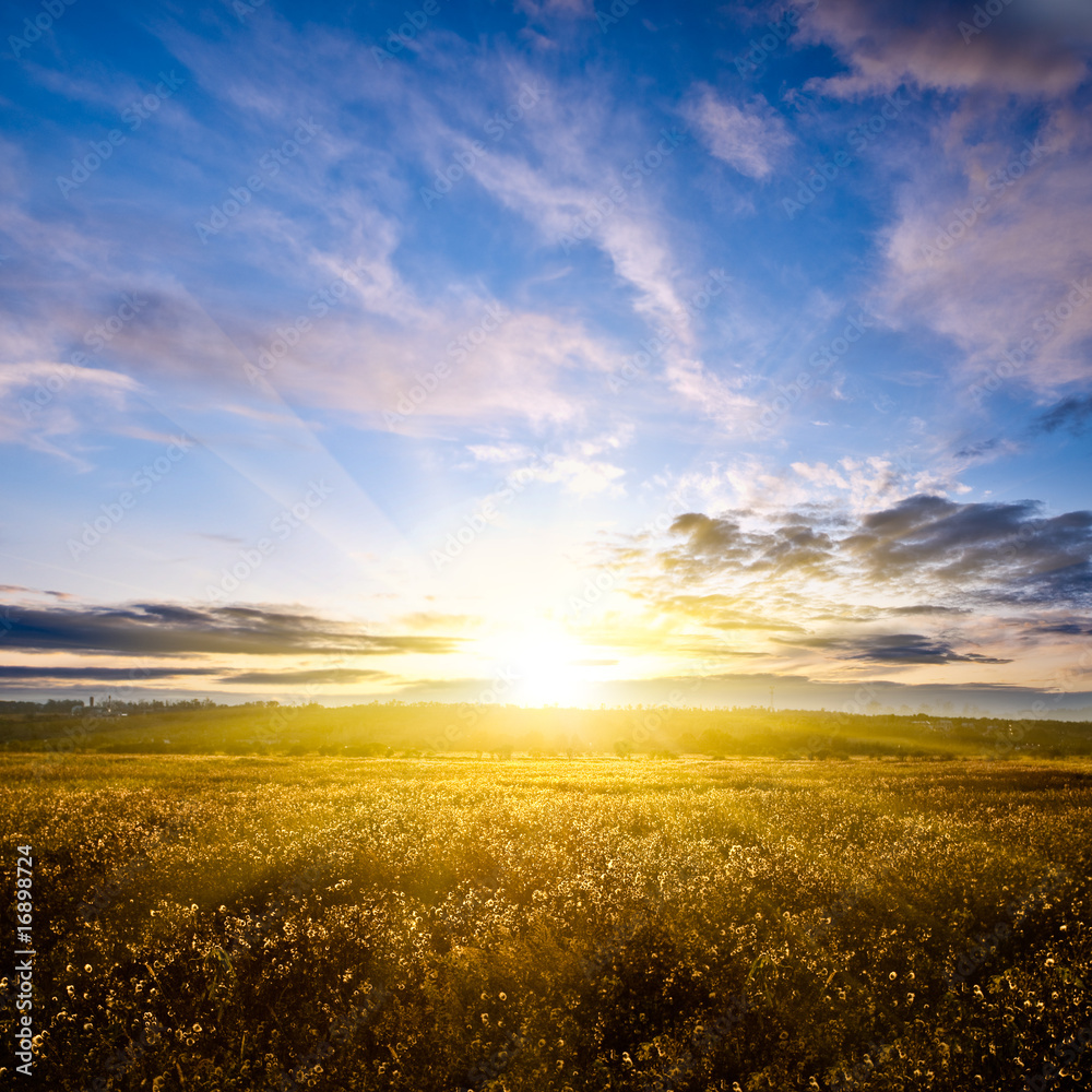 Wall mural beautiful sunset above autumn field