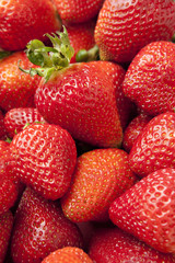 Fresh Red Strawberry