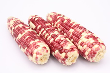 Red and yellow maize