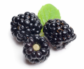 Blackberry