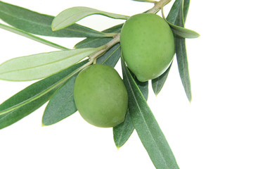 Green olives, isolated