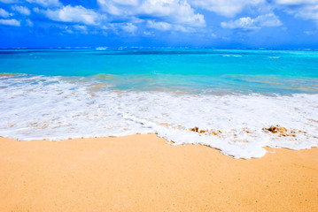 Hawaiian Beach with blue sky