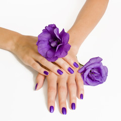 Fototapeta premium Purple manicure and violet flowers