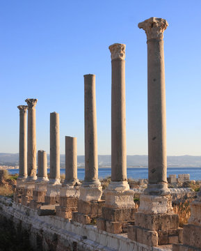 Roman Columns at Tyre (Lebanon)