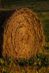 Meule de paille dans le soleil couchant