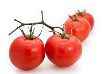 Group of tomatoes
