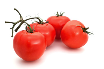 Group of tomatoes