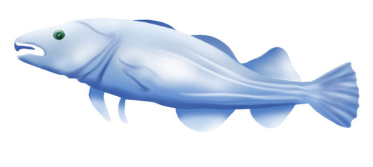 Fisch