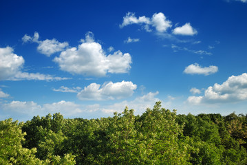 Summer landscape on blue sky background