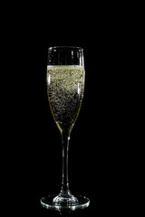 Champagne glass