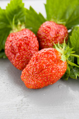 Three Large Red Strawberries