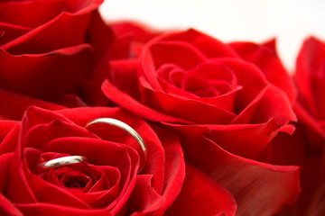 Gold Rings inside of Red Rose