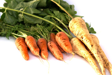 carrots