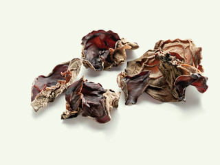 Black Fungus (Mu-Err, Judasohr)