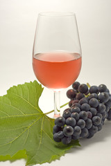 Vins