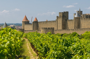 Medieval town of Carcassonne and vineyards - obrazy, fototapety, plakaty