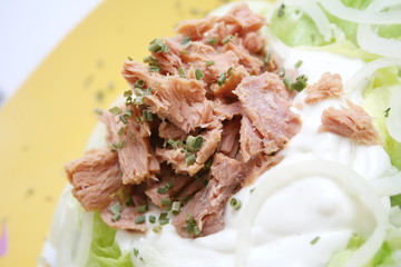 thunfisch auf Salat