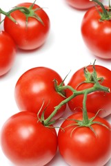 Fresh tomatoes on white background