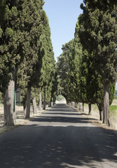 The countryside road.