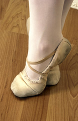 Ballerina shoes