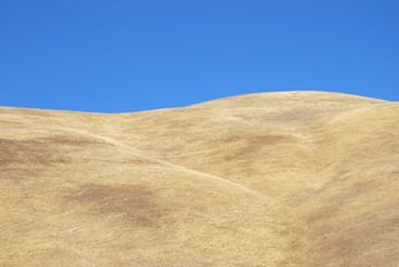 Fototapeta na wymiar Dry grass and blue sky
