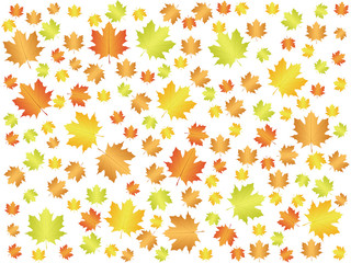 autumn leaf background