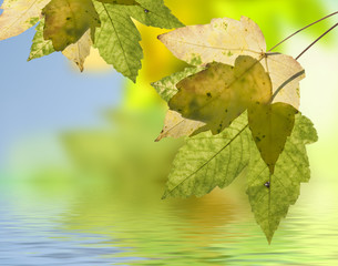 Obraz premium Herbststimmung