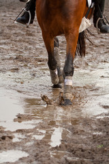 Muddy riding ground