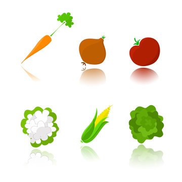 Vegetables illustration on white background