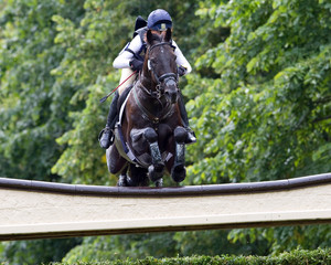 Horse Trial Cross Country Jump