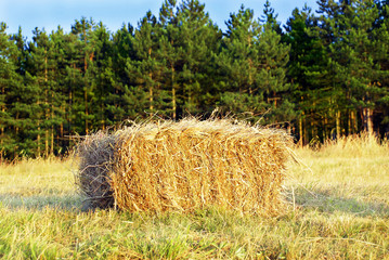Wafer of hay