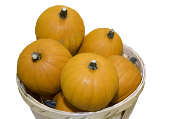 Small pumpkins in a basket isolated against white