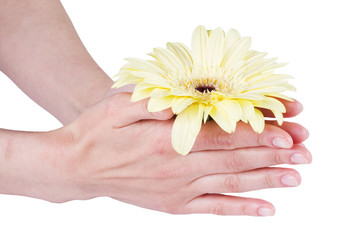 Beautiful female hands..