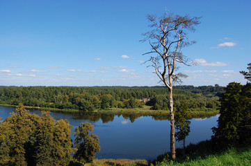 Landscape