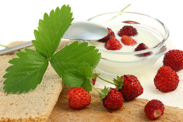 Crispbread and wild berries