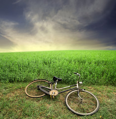 bike