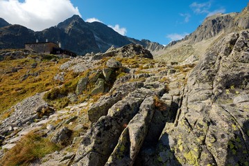 stony walking path to a mountain cottage in summer day