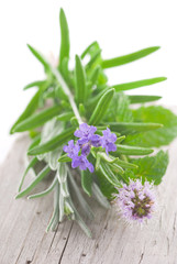 Obraz premium Fresh Herbs