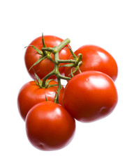 Tomatoes
