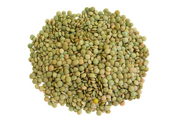 lentil