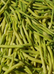 haricots frais