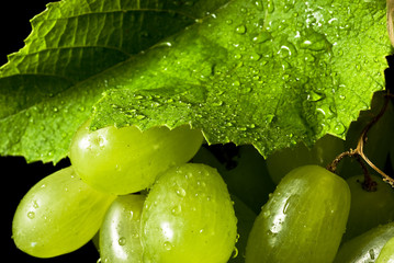 grappolo di uva bianca 2